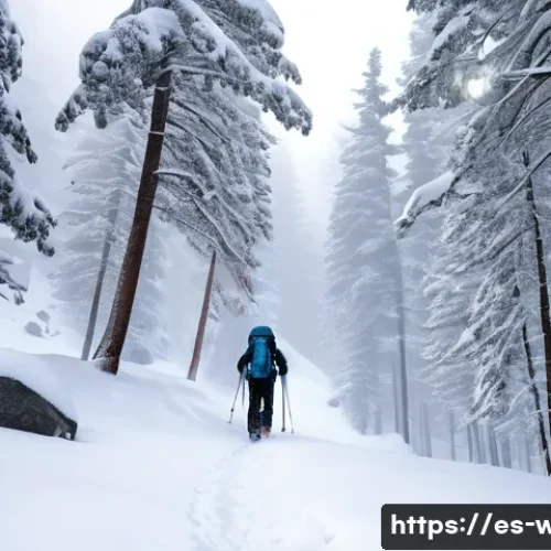 화이트 아웃 서바이벌 환경 상호작용 사례 - A hiker navigating through a dense whiteout snowstorm in a mountainous forest, wearing high-quality ...