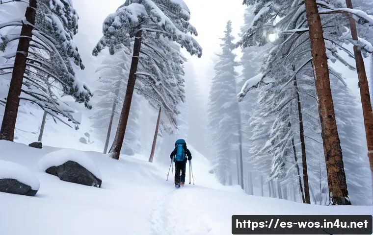 화이트 아웃 서바이벌 환경 상호작용 사례 - A hiker navigating through a dense whiteout snowstorm in a mountainous forest, wearing high-quality ...